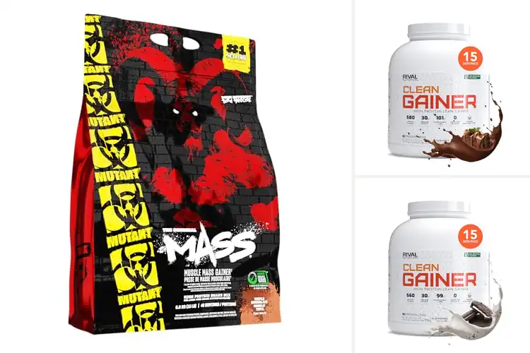 Detailed view of Best 15 Serving Gainer: Top 10 Muscle Fuel Picks