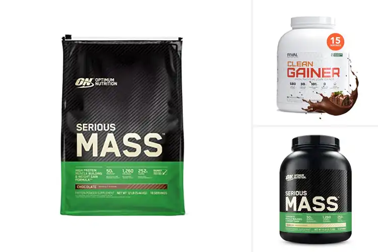 Detailed view of Best 15 Serving Mass Gainer For Bulk Performance