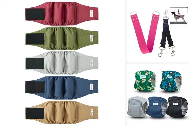 Detailed view of Best Adjustable Hook And Loop Belly Band For Dogs