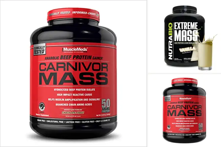 Detailed view of Best Amino Acid Absorption Mass Gainers