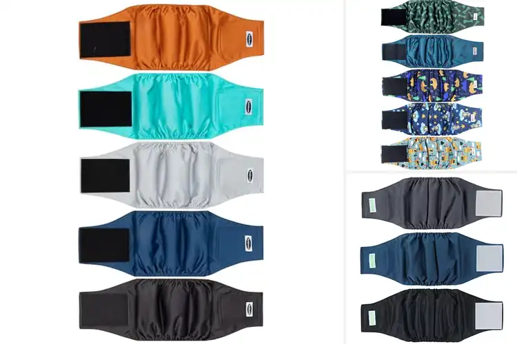 Detailed view of Best Belly Bands For Dogs : Happy Dog, Clean Home