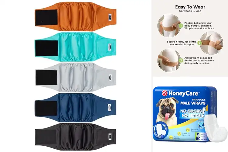 Detailed view of Best Belly Bands