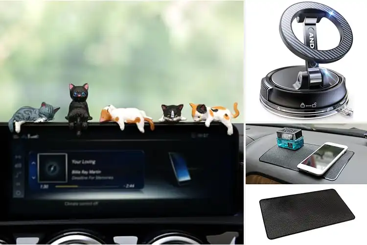 Detailed view of Best Car Dashboard Accessories