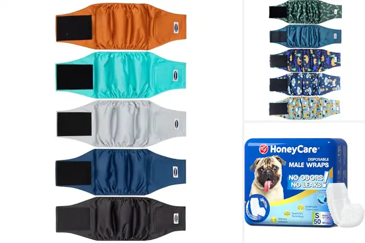 Detailed view of Best Dog Belly Bands