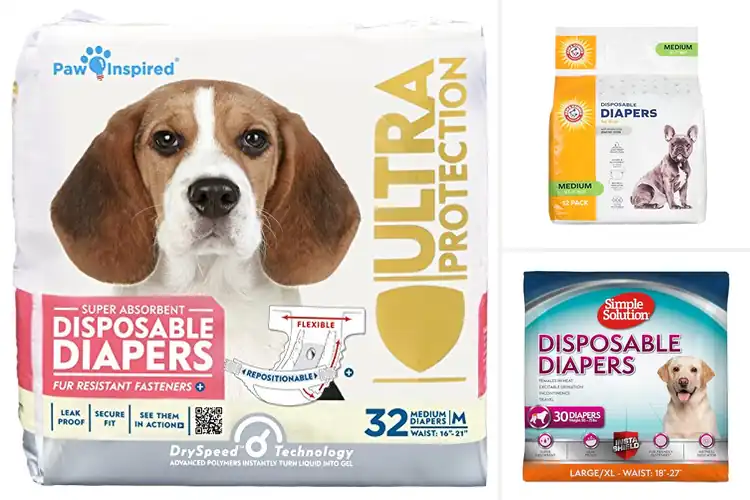 Detailed view of Best Dog Diapers For Incontinence