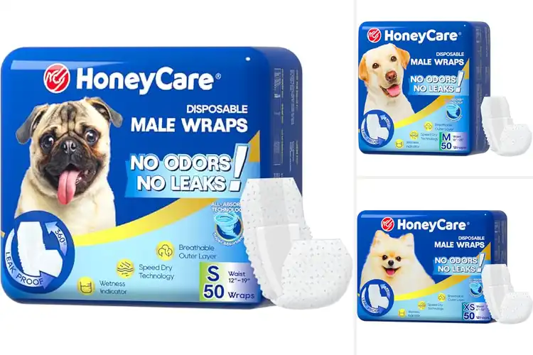 Detailed view of Best Dog Diapers: Happy Home, Happy Pup