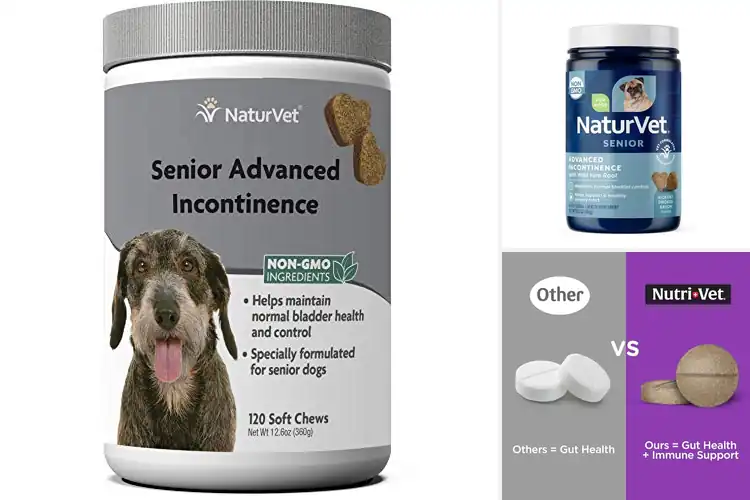 Detailed view of Best Dog Incontinence Products