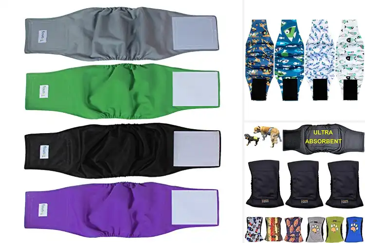 Detailed view of Best Four Layer Leakage Protection Belly Band