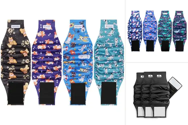 Detailed view of Best Four Layer Leakage Protection Dog Belly Band