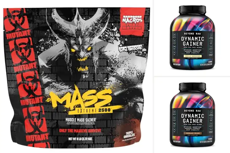 Detailed view of Best High Tech Gainer: Top 5 Muscle-Boosting Formulas