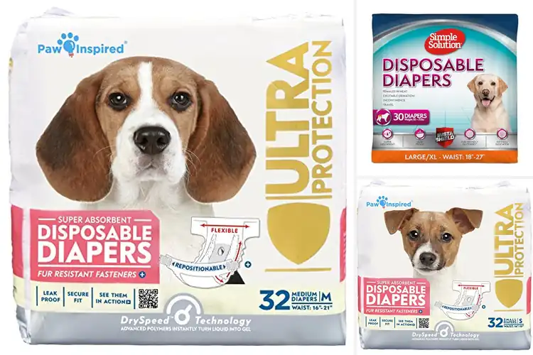 Detailed view of Best Incontinence Diapers For Dogs