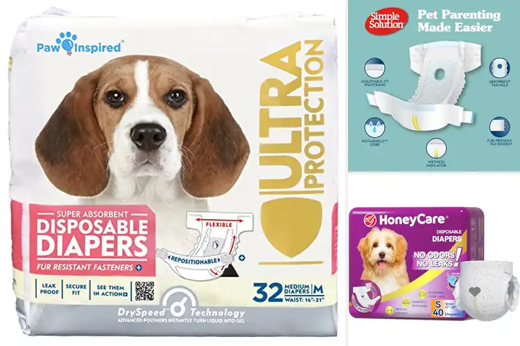 Detailed view of Best Incontinence Dog Diapers