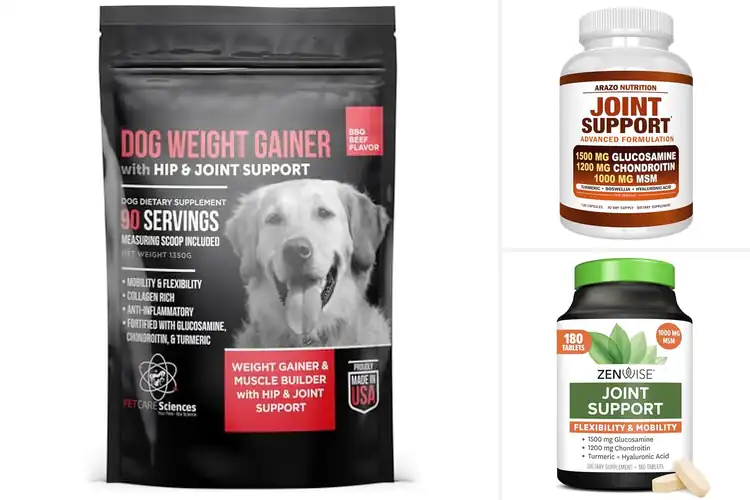 Detailed view of Best Joint Support Gainer