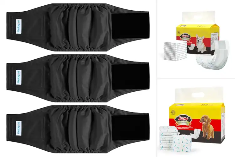 Detailed view of Best Leakage Protection Belly Band