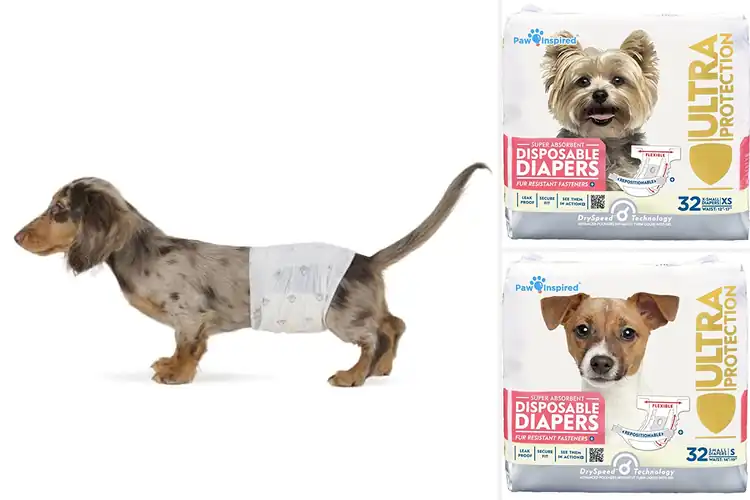 Detailed view of Best Leakproof Dog Diapers: Happy Home, Happy Pup