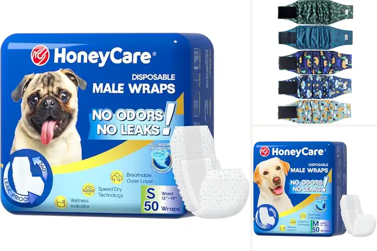 Detailed view of Best Male Dog Diapers for Territorial Marking