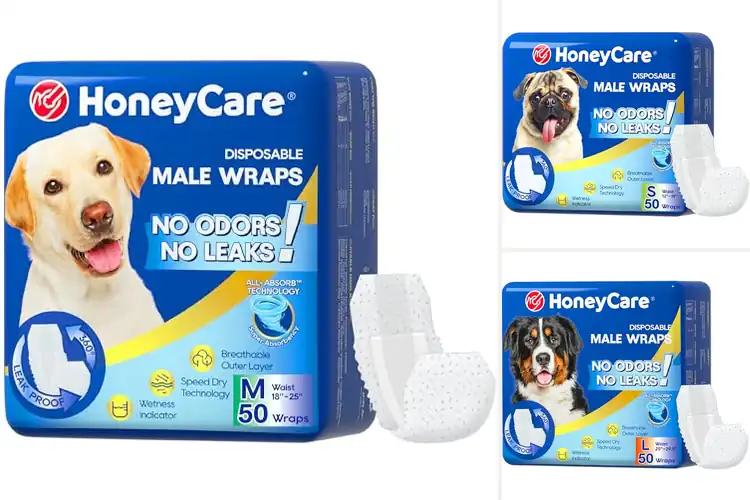 Detailed view of Best Male Dog Diapers for Comfort & Leak-Proof Protection