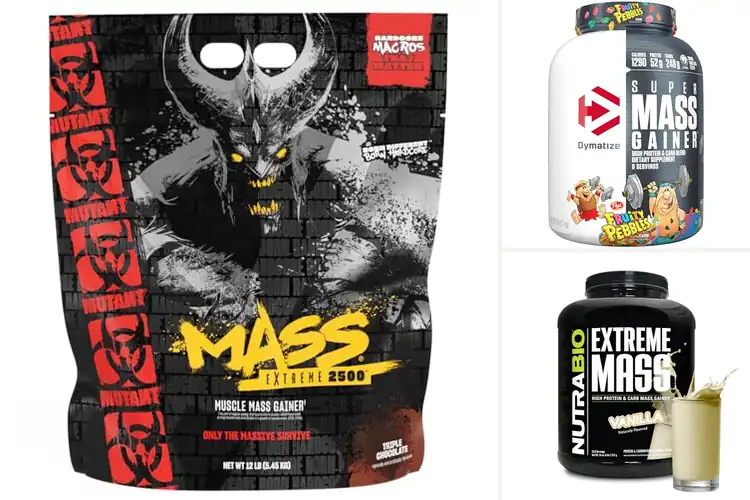 Detailed view of Best Mass Gainer For EAA And BCAA Absorption