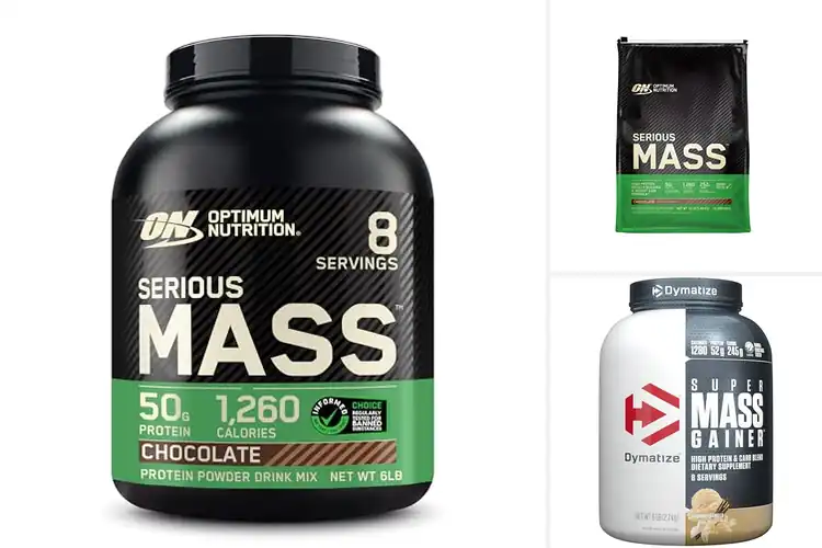 Detailed view of Best Mass Gainer For Heavy Lifting Support