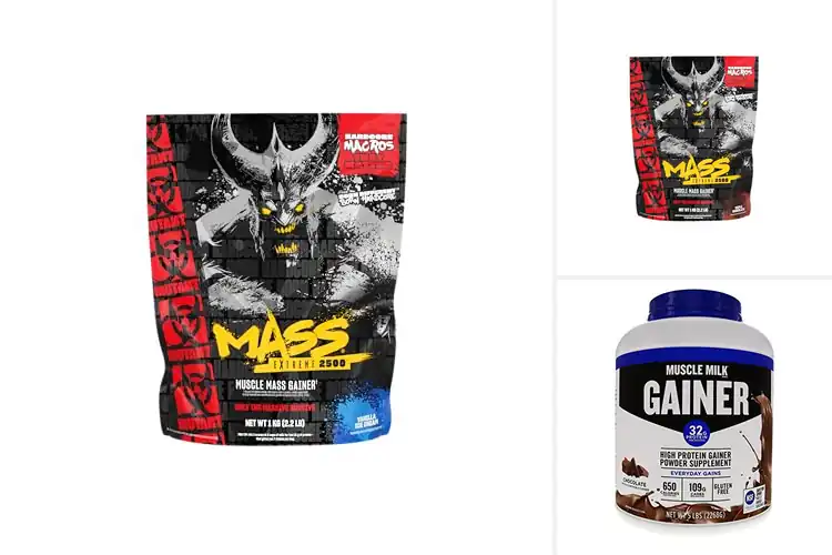 Detailed view of Best Mass Gainer For Muscle Gain: Top Picks for Lean Growth