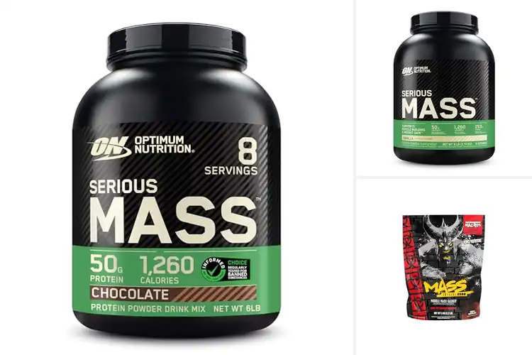 Detailed view of Best Mass Gainer For Muscle Mass