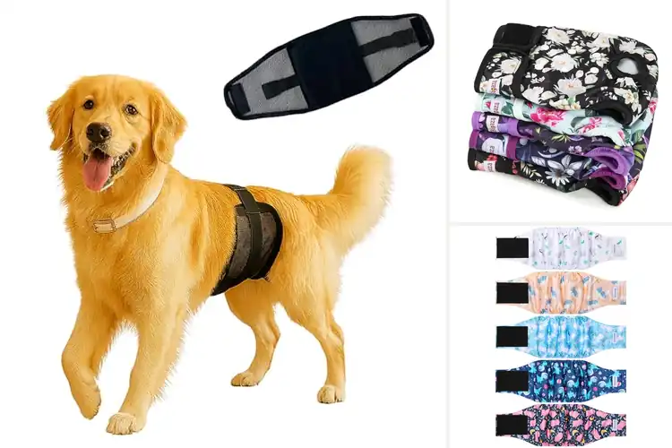 Detailed view of Best Multi Layer Dog Diaper Fabrics