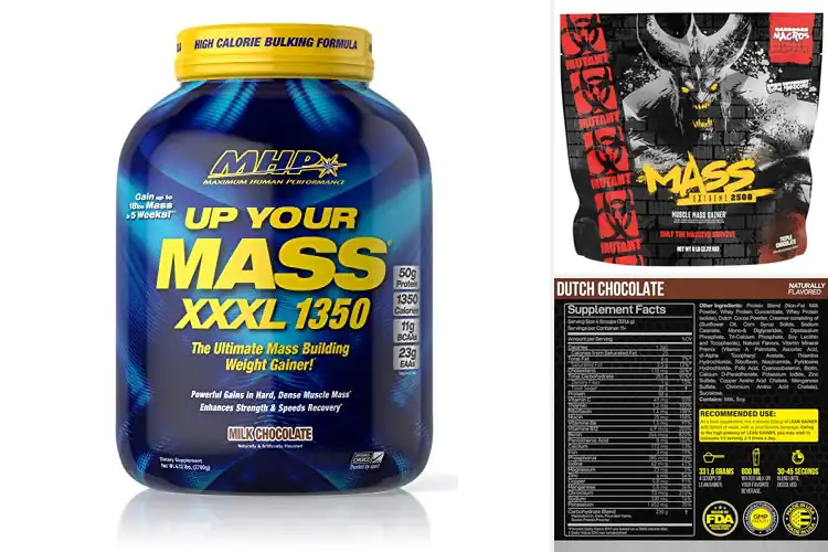 Detailed view of Best Muscle-Building Mass Gainers: Fuel Your Gains