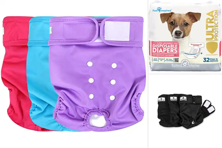 Detailed view of Best Premium Dog Diapers
