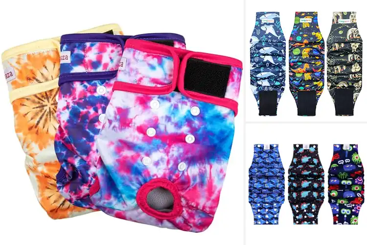 Detailed view of Best Printed Dog Belly Band Designs