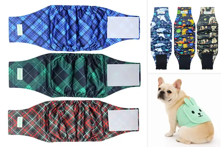 Detailed view of Best Printed Fabric Belly Band For Dogs