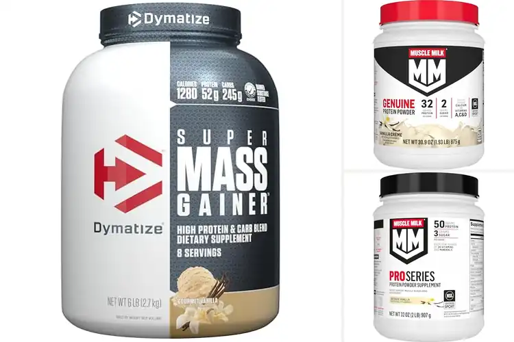 Detailed view of Best Protein Powders for Muscle Gain
