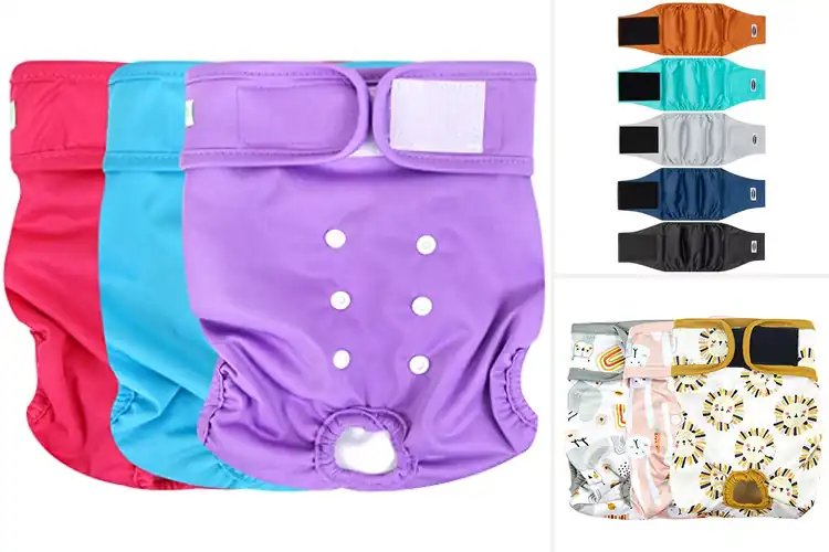 Detailed view of Best Reusable Dog Diapers