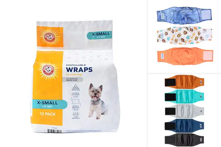Detailed view of Best Small Dog Belly Band 10-12 Inch