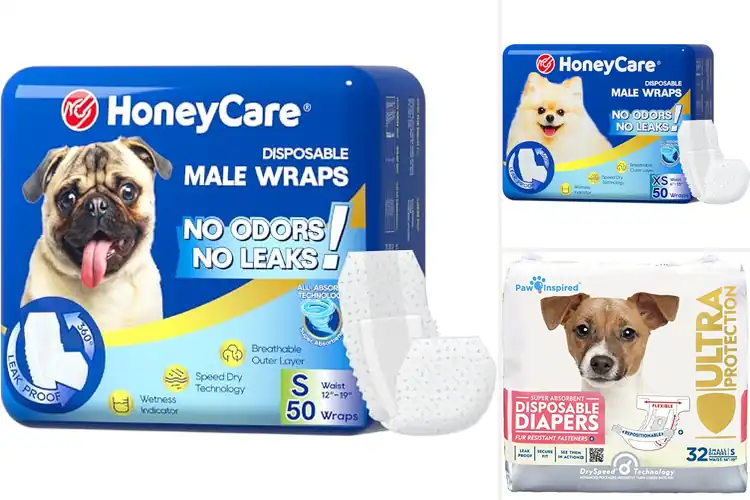 Detailed view of Best Small Dog Diapers