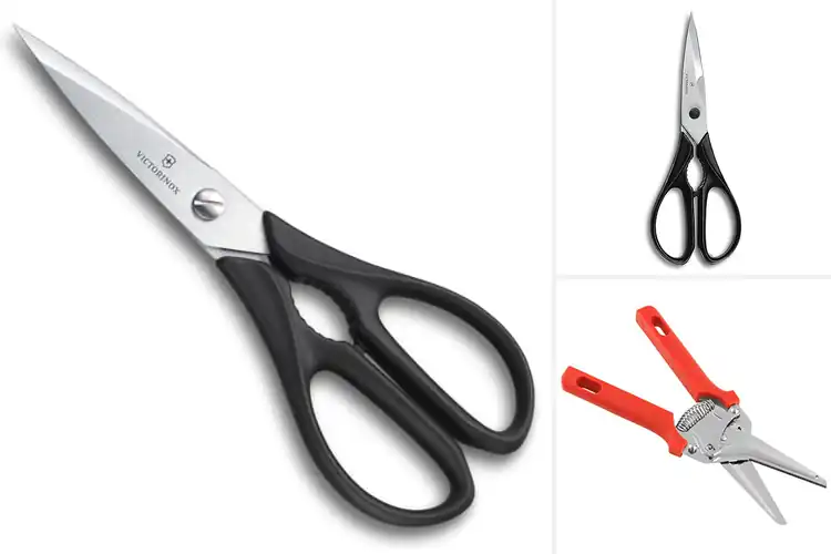 Detailed view of Best Swiss Scissors: Top 10 Picks for Precision & Durability