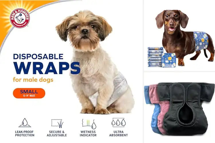 Detailed view of Best Territorial Marking Diapers : Leak-Proof & Odor-Free