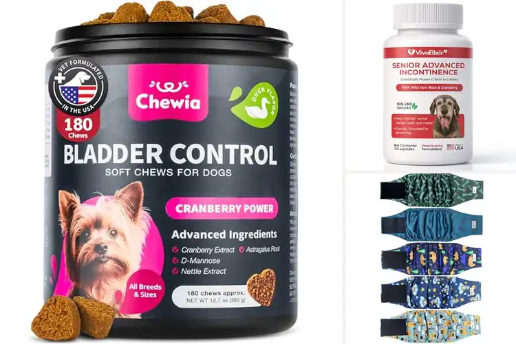 Detailed view of Best Urinary Incontinence Relief For Male Dogs