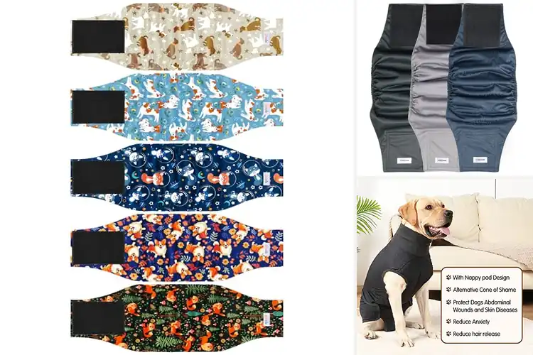 Detailed view of Best Urinary Incontinence Solution For Male Dogs