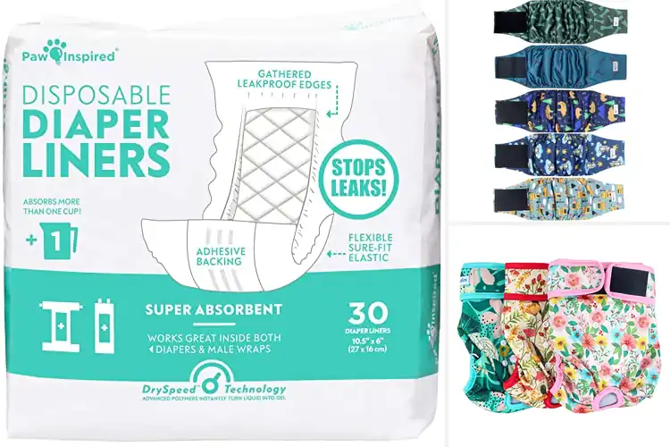 Detailed view of Best Waterproof Dog Diapers: Keep Your Pup Dry & Comfortable