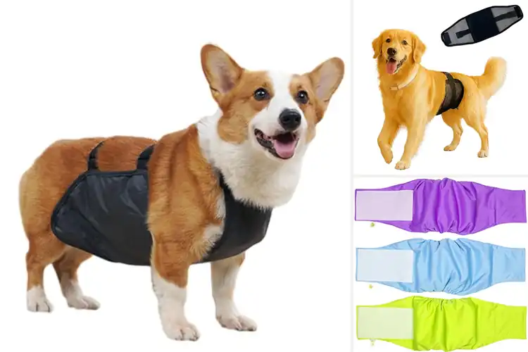 Detailed view of Best Waterproof Fabric Belly Band